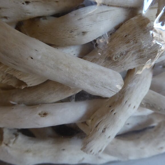 NEW 4” 80 PIECES DRIED NATURAL DECORATIVE BLEACHED CAULIFLOWER ROOT - Picture 5 of 9